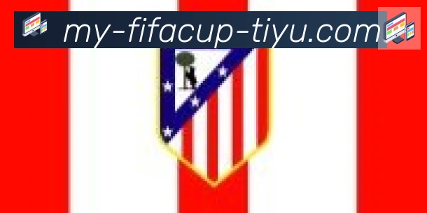 FIFA世界杯体育官方网站合作伙伴